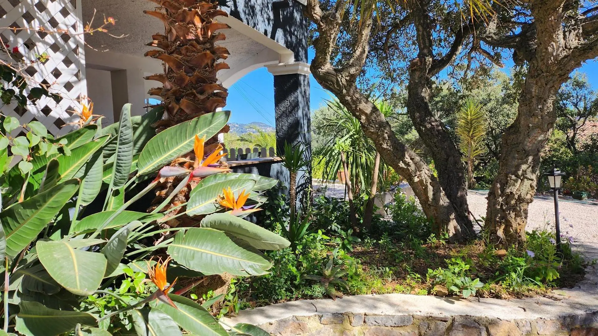 T3 .Vue.Jardin Terrasse Parking. Apartment Carqueiranne France